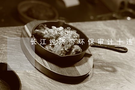 长江经济带环保审计十违法建设 长江经济带环保审计十违法建设