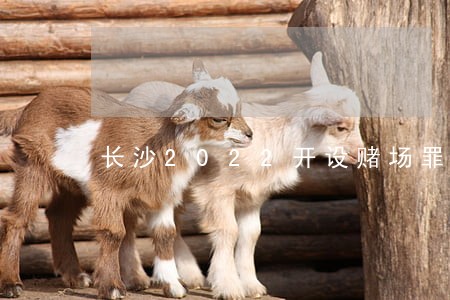 长沙2022开设赌场罪案例 长沙2022开设赌场罪案例