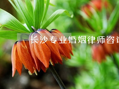 长沙专业婚姻律师咨询 长沙专业婚姻律师咨询