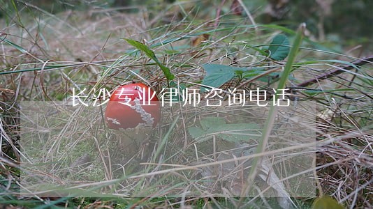 长沙专业律师咨询电话 长沙专业律师咨询电话