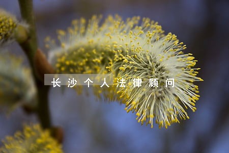 长沙个人法律顾问