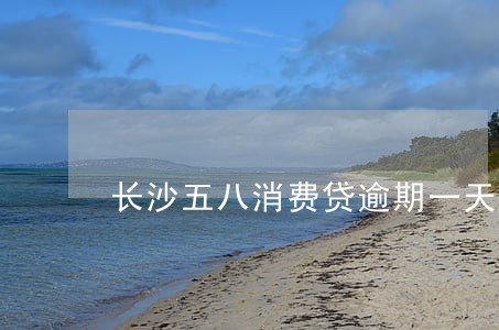 长沙五八消费贷逾期一天 长沙五八消费贷逾期一天