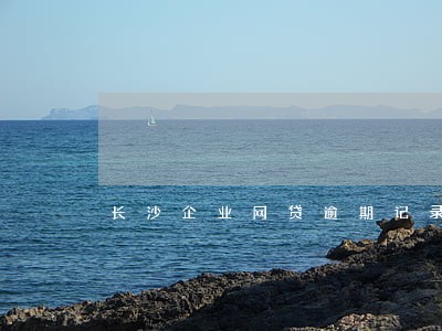长沙企业网贷逾期记录消除 长沙企业网贷逾期记录消除