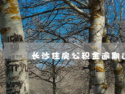 长沙住房公积金逾期还款期限 长沙住房公积金逾期还款期限