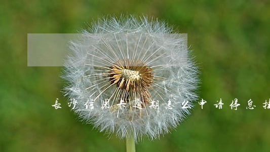 长沙信用卡逾期怎么申请停息挂账