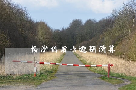 长沙信用卡逾期清算 长沙信用卡逾期清算