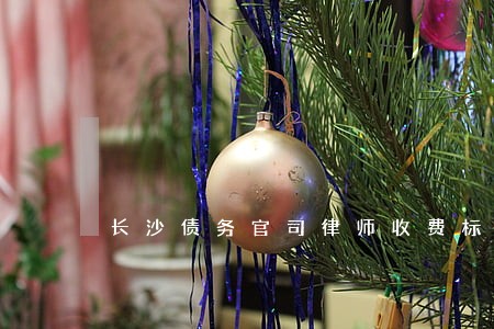 长沙债务官司律师收费标准 长沙债务官司律师收费标准