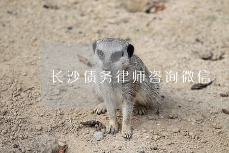 长沙债务律师咨询微信 长沙债务律师咨询微信