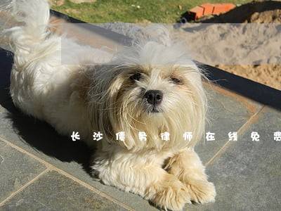 长沙债务律师在线免费咨询 长沙债务律师在线免费咨询