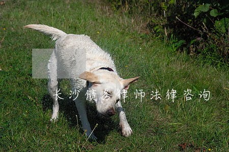长沙债务律师法律咨询
