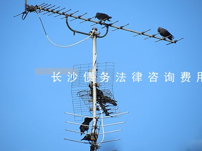 长沙债务法律咨询费用 长沙债务法律咨询费用