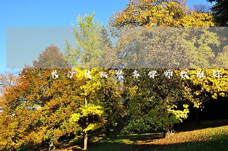 长沙债权债务律师找谁好 长沙债权债务律师找谁好