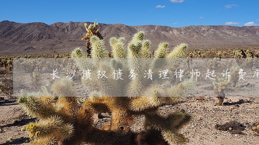长沙债权债务清理律师起诉费用 长沙债权债务清理律师起诉费用