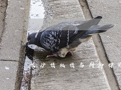 长沙债权债务纠纷律师多少钱 长沙债权债务纠纷律师多少钱
