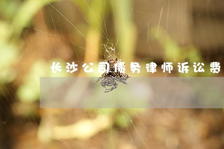 长沙公司债务律师诉讼费 长沙公司债务律师诉讼费