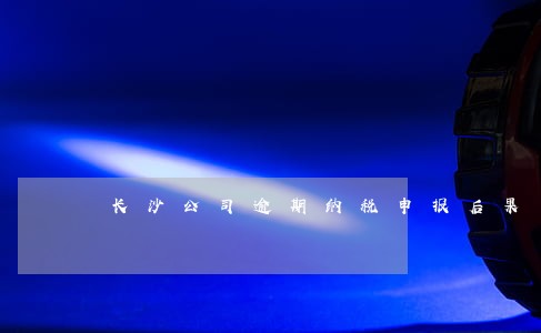 长沙公司逾期纳税申报后果 长沙公司逾期纳税申报后果