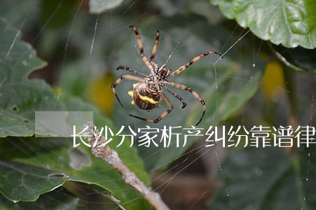 长沙分家析产纠纷靠谱律师 长沙分家析产纠纷靠谱律师