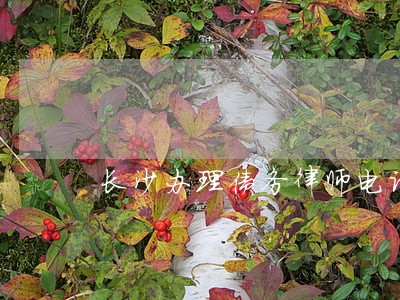 长沙办理债务律师电话咨询 长沙办理债务律师电话咨询