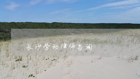 长沙劳动律师咨询 长沙劳动律师咨询
