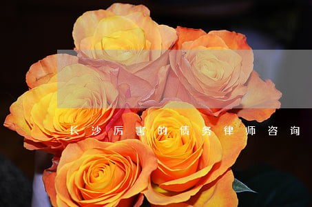 长沙厉害的债务律师咨询 长沙厉害的债务律师咨询