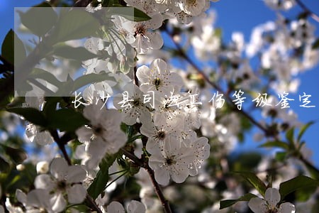 长沙县司法工伤等级鉴定 长沙县司法工伤等级鉴定