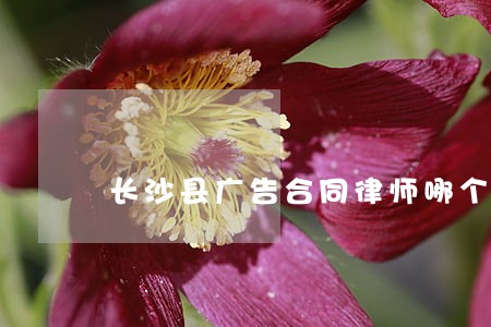 长沙县广告合同律师哪个好 长沙县广告合同律师哪个好