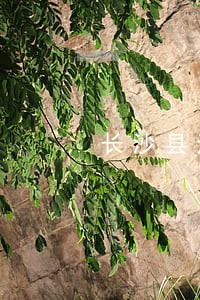 长沙县法律援助可靠吗 长沙县法律援助可靠吗