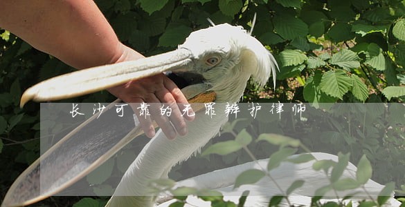 长沙可靠的无罪辩护律师 长沙可靠的无罪辩护律师