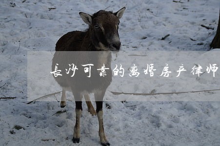 长沙可靠的离婚房产律师 长沙可靠的离婚房产律师
