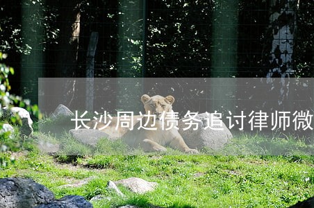 长沙周边债务追讨律师微信咨询 长沙周边债务追讨律师微信咨询
