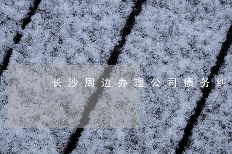 长沙周边办理公司债务纠纷律师
