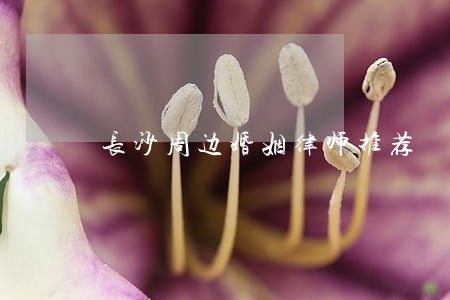 长沙周边婚姻律师推荐 长沙周边婚姻律师推荐