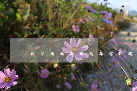 长沙周边离婚债务律师起诉费用 长沙周边离婚债务律师起诉费用