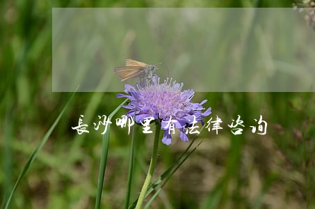 长沙哪里有法律咨询