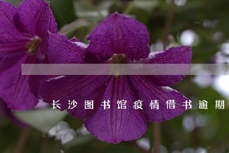 长沙图书馆疫情借书逾期怎么交费 长沙图书馆疫情借书逾期怎么交费