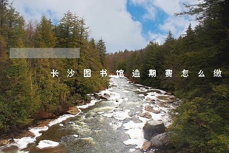 长沙图书馆逾期费怎么缴费 长沙图书馆逾期费怎么缴费