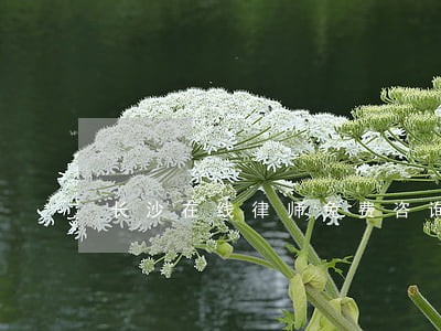 长沙在线律师免费咨询 长沙在线律师免费咨询