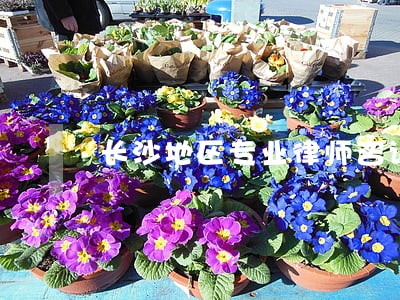 长沙地区专业律师咨询 长沙地区专业律师咨询