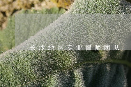 长沙地区专业律师团队 长沙地区专业律师团队
