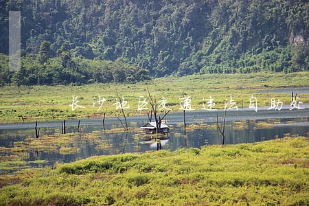 长沙地区交通违法自助处理区