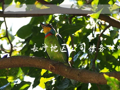 长沙地区公司债务律师大概多少钱 长沙地区公司债务律师大概多少钱