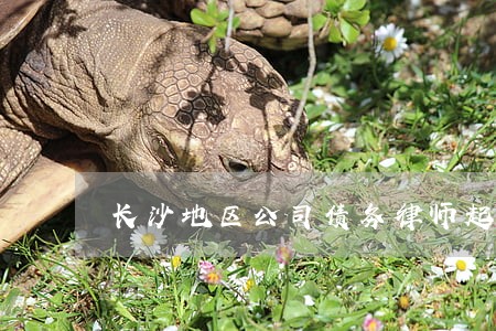 长沙地区公司债务律师起诉费用 长沙地区公司债务律师起诉费用