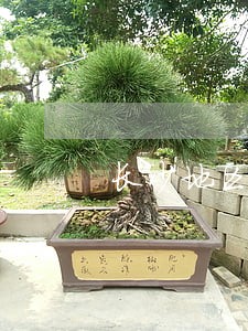 长沙地区可靠的婚姻律师 长沙地区可靠的婚姻律师