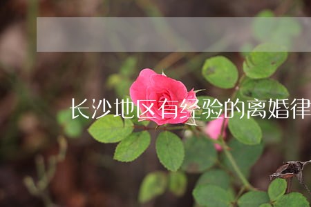 长沙地区有经验的离婚律师哪里找 长沙地区有经验的离婚律师哪里找