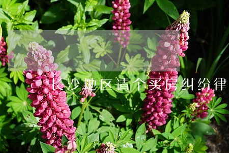 长沙地区请个买房纠纷律师 长沙地区请个买房纠纷律师