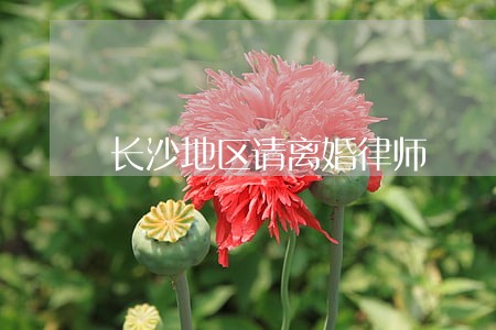 长沙地区请离婚律师 长沙地区请离婚律师