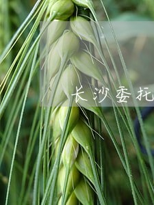 长沙委托建筑工程纠纷律师 长沙委托建筑工程纠纷律师