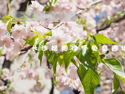 长沙婚姻律师免费咨询 长沙婚姻律师免费咨询