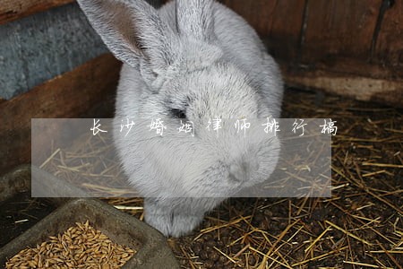 长沙婚姻律师排行榜 长沙婚姻律师排行榜