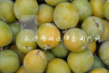 长沙婚姻法律咨询热线 长沙婚姻法律咨询热线